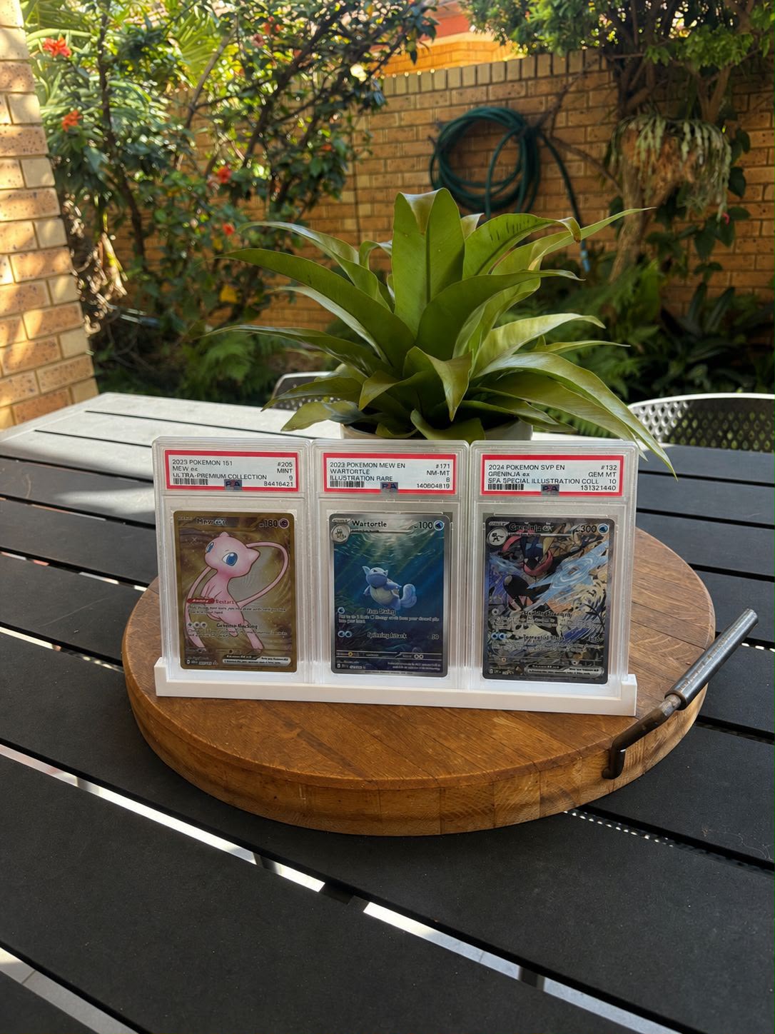 3-Card Row Stand
